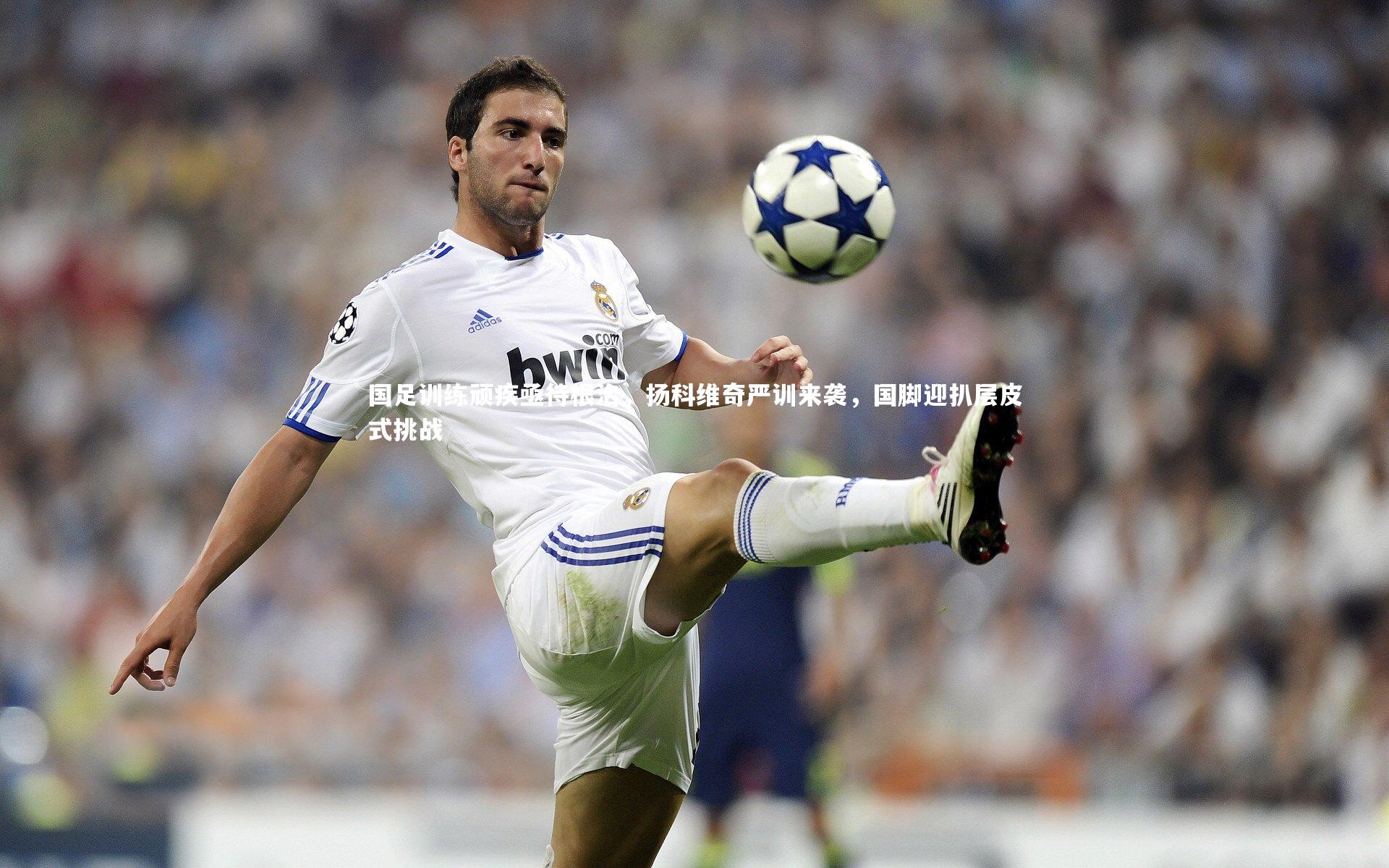 b体育官网-国足训练顽疾亟待根治，扬科维奇严训来袭，国脚迎扒层皮式挑战